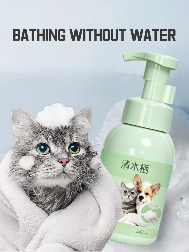 pet dry cleaning bubble 6 pet dry cleaning bubble 6