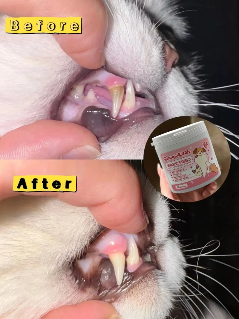Pet finger wipe feature 111 Pet finger wipe feature 111